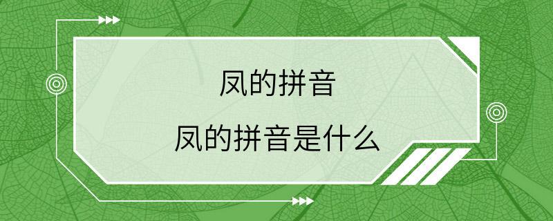 凤的拼音 凤的拼音是什么