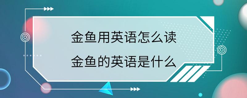 金鱼用英语怎么读 金鱼的英语是什么