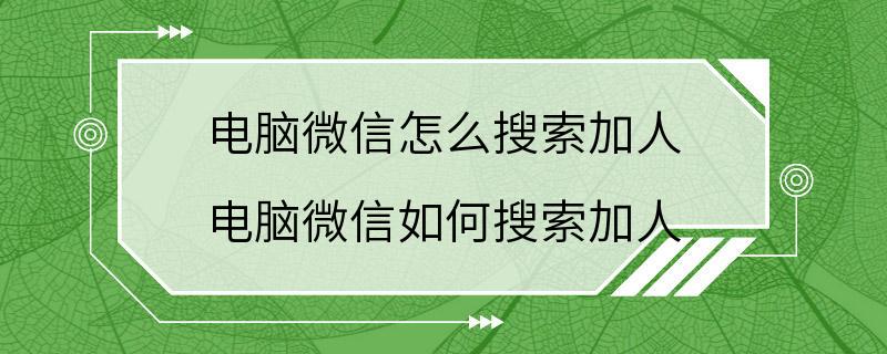 电脑微信怎么搜索加人 电脑微信如何搜索加人