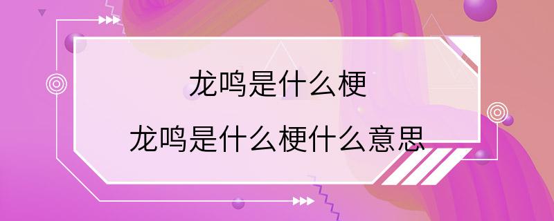 龙鸣是什么梗 龙鸣是什么梗什么意思