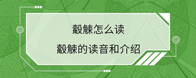 觳觫怎么读 觳觫的读音和介绍