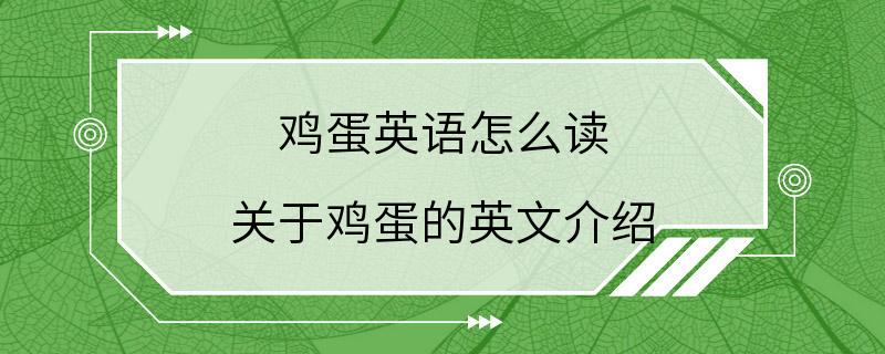 鸡蛋英语怎么读 关于鸡蛋的英文介绍