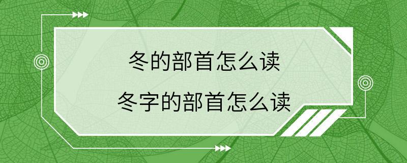 冬的部首怎么读 冬字的部首怎么读