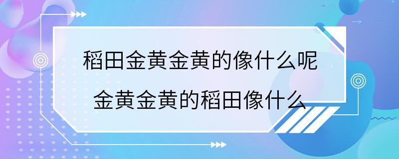 稻田金黄金黄的像什么呢 金黄金黄的稻田像什么