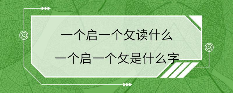 一个启一个攵读什么 一个启一个攵是什么字