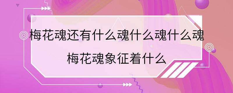 梅花魂还有什么魂什么魂什么魂 梅花魂象征着什么