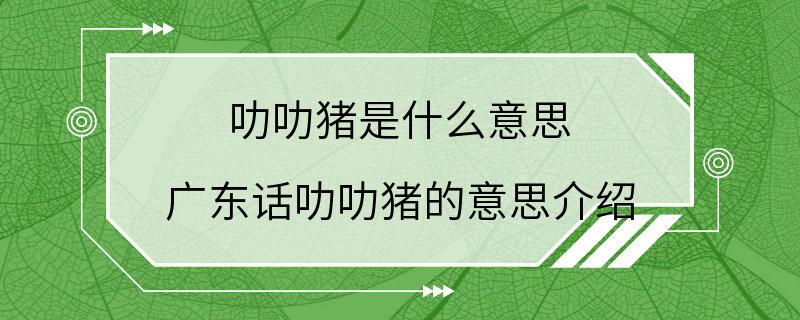 叻叻猪是什么意思 广东话叻叻猪的意思介绍