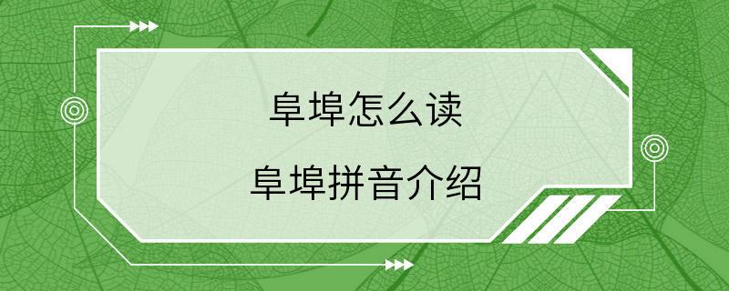 阜埠怎么读 阜埠拼音介绍