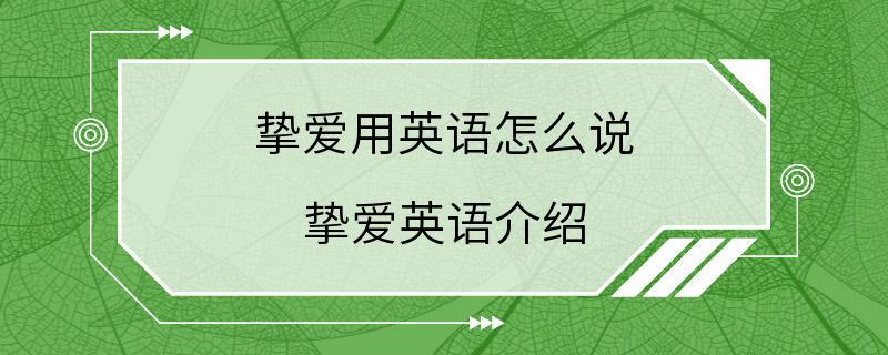 挚爱用英语怎么说 挚爱英语介绍