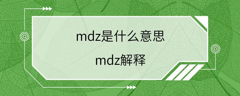 mdz是什么意思 mdz解释