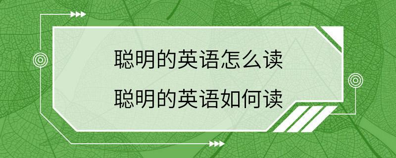 聪明的英语怎么读 聪明的英语如何读