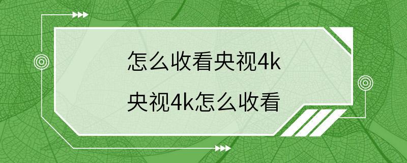 怎么收看央视4k 央视4k怎么收看