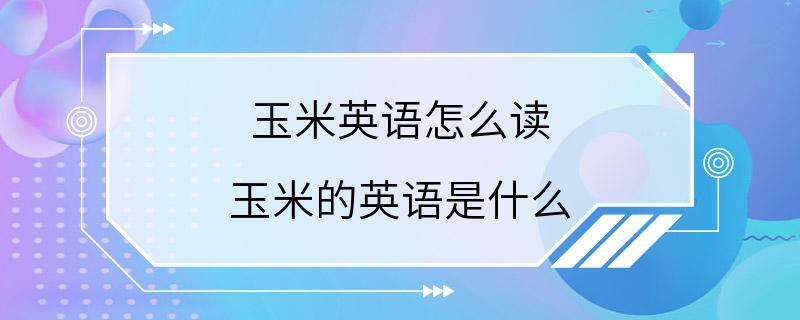 玉米英语怎么读 玉米的英语是什么