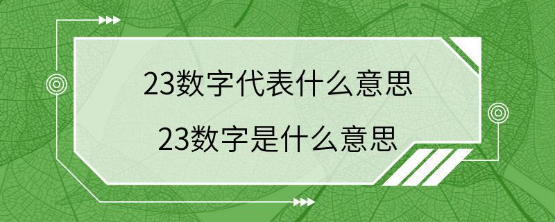 23数字代表什么意思 23数字是什么意思