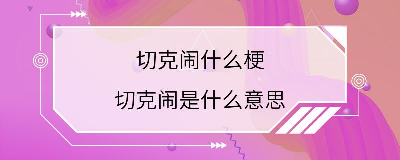 切克闹什么梗 切克闹是什么意思