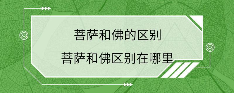 菩萨和佛的区别 菩萨和佛区别在哪里