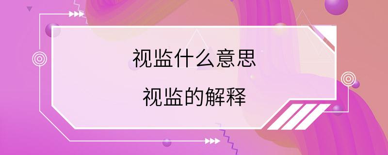 视监什么意思 视监的解释