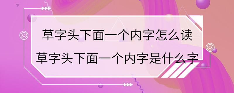 草字头下面一个内字怎么读 草字头下面一个内字是什么字