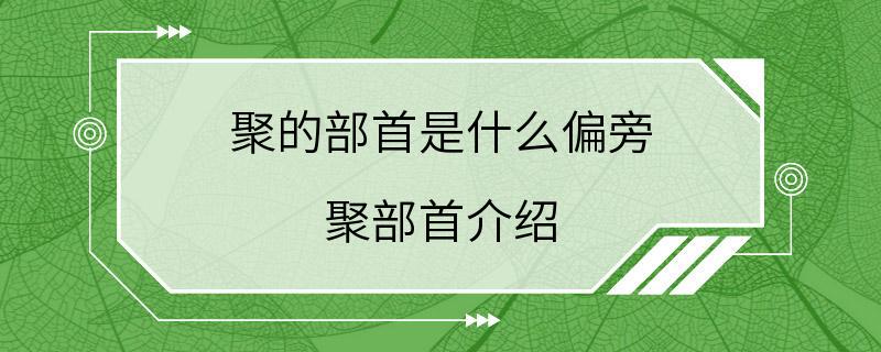 聚的部首是什么偏旁 聚部首介绍