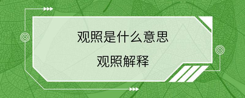 观照是什么意思 观照解释