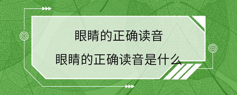 眼睛的正确读音 眼睛的正确读音是什么