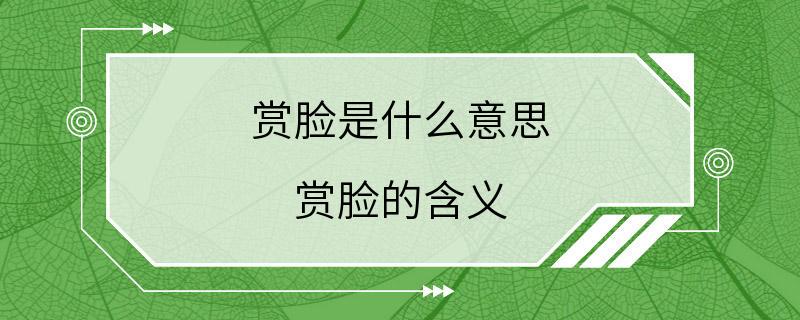 赏脸是什么意思 赏脸的含义