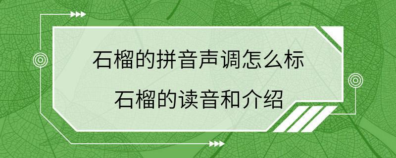 石榴的拼音声调怎么标 石榴的读音和介绍