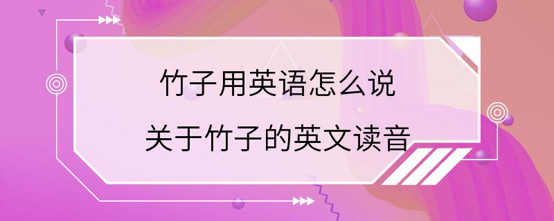 竹子用英语怎么说 关于竹子的英文读音