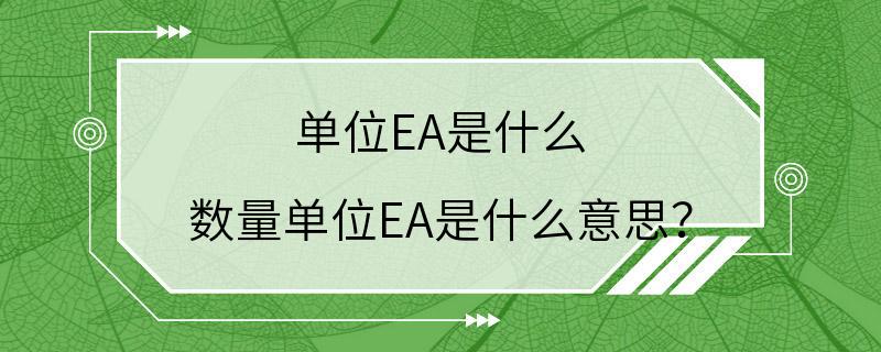 单位EA是什么 数量单位EA是什么意思？