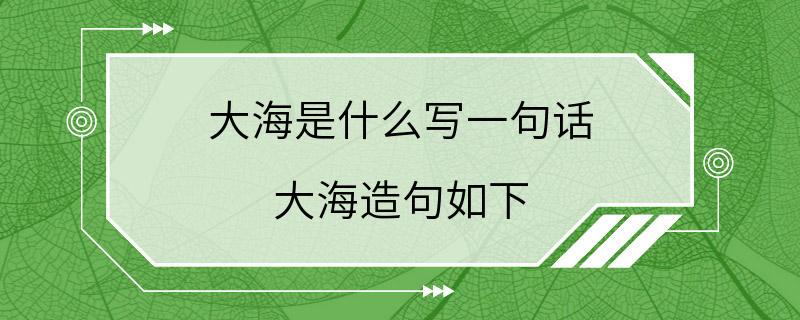 大海是什么写一句话 大海造句如下