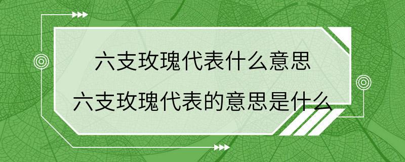 六支玫瑰代表什么意思 六支玫瑰代表的意思是什么