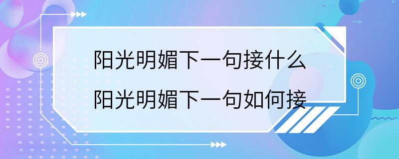 阳光明媚下一句接什么 阳光明媚下一句如何接