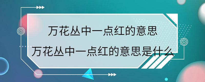 万花丛中一点红的意思 万花丛中一点红的意思是什么