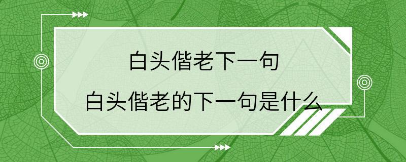 白头偕老下一句 白头偕老的下一句是什么