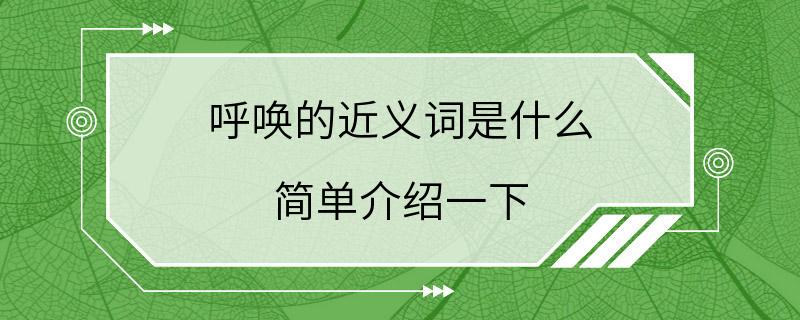 呼唤的近义词是什么 简单介绍一下