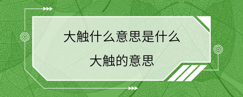 大触什么意思是什么 大触的意思