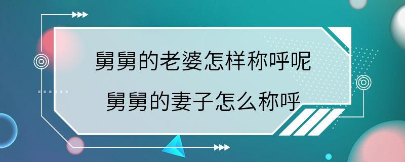 舅舅的老婆怎样称呼呢 舅舅的妻子怎么称呼