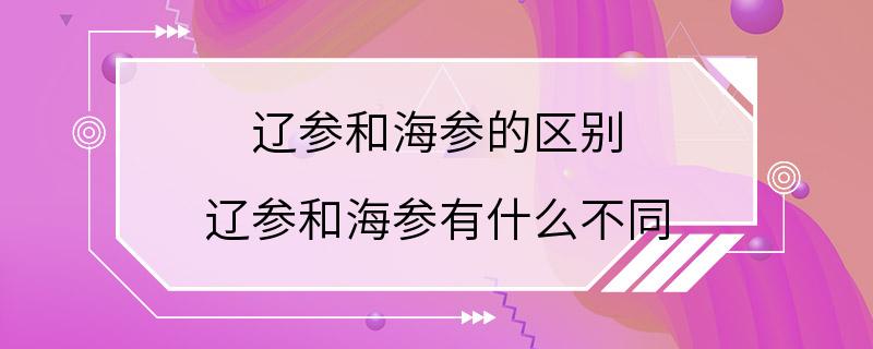 辽参和海参的区别 辽参和海参有什么不同