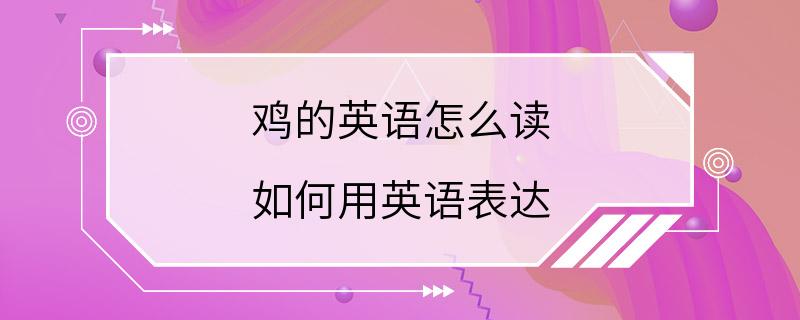 鸡的英语怎么读 如何用英语表达