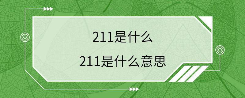 211是什么 211是什么意思