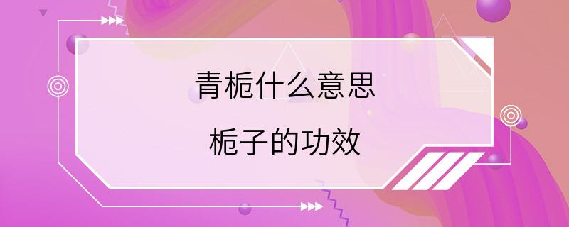 青栀什么意思 栀子的功效