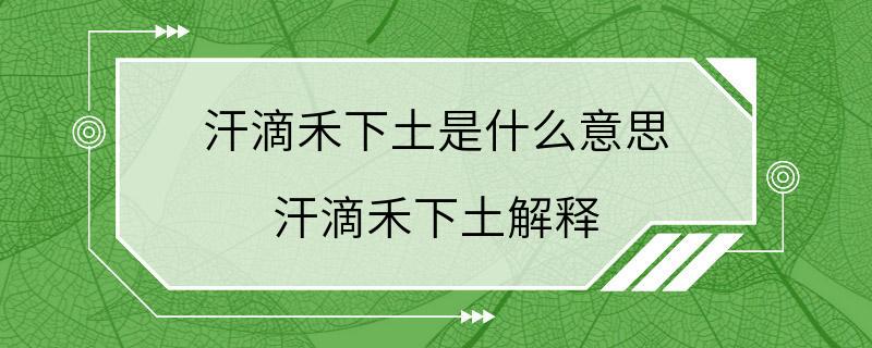 汗滴禾下土是什么意思 汗滴禾下土解释