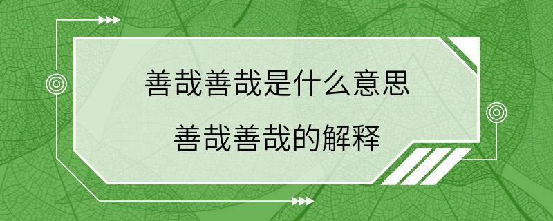 善哉善哉是什么意思 善哉善哉的解释