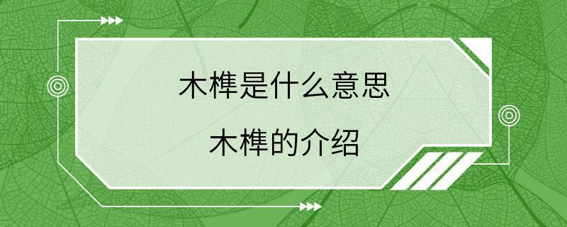 木榫是什么意思 木榫的介绍