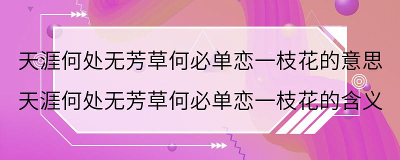 天涯何处无芳草何必单恋一枝花的意思 天涯何处无芳草何必单恋一枝花的含义