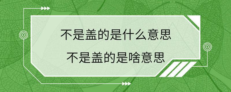 不是盖的是什么意思 不是盖的是啥意思