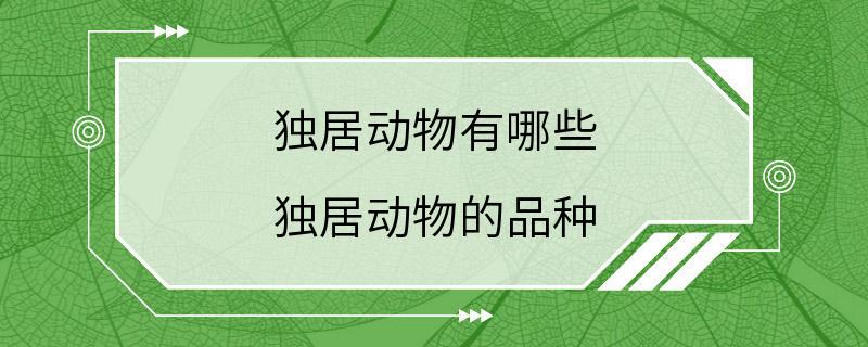 独居动物有哪些 独居动物的品种