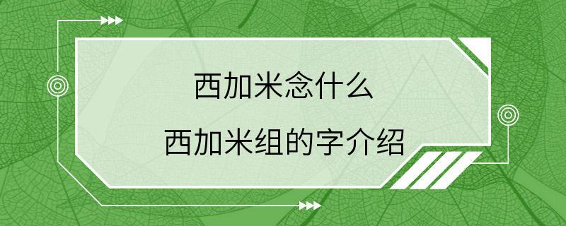 西加米念什么 西加米组的字介绍