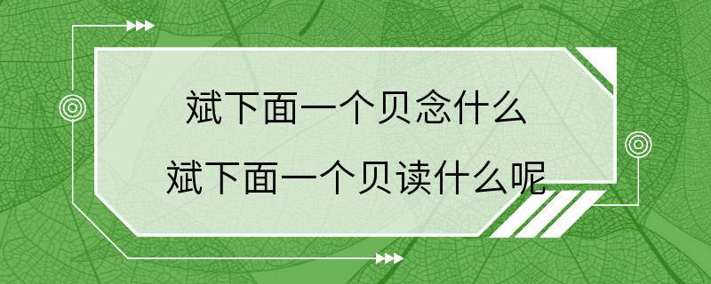 斌下面一个贝念什么 斌下面一个贝读什么呢