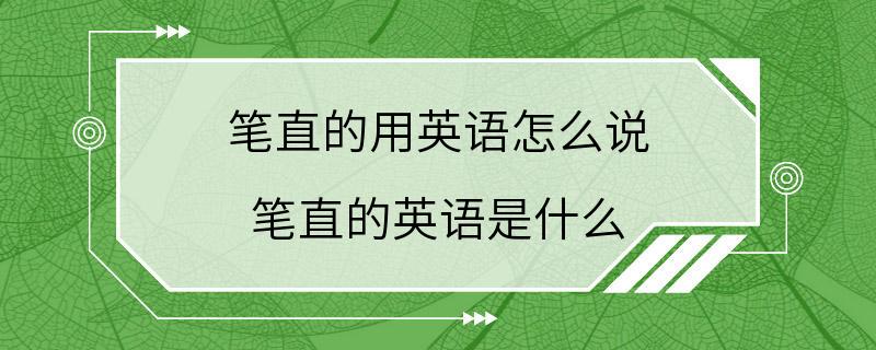 笔直的用英语怎么说 笔直的英语是什么